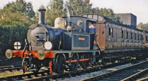 Locomotive with word 'Bluebell' on side. Brown passenger carriages.