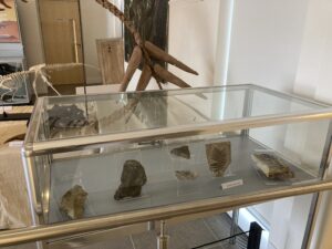 Display case with fossils in.