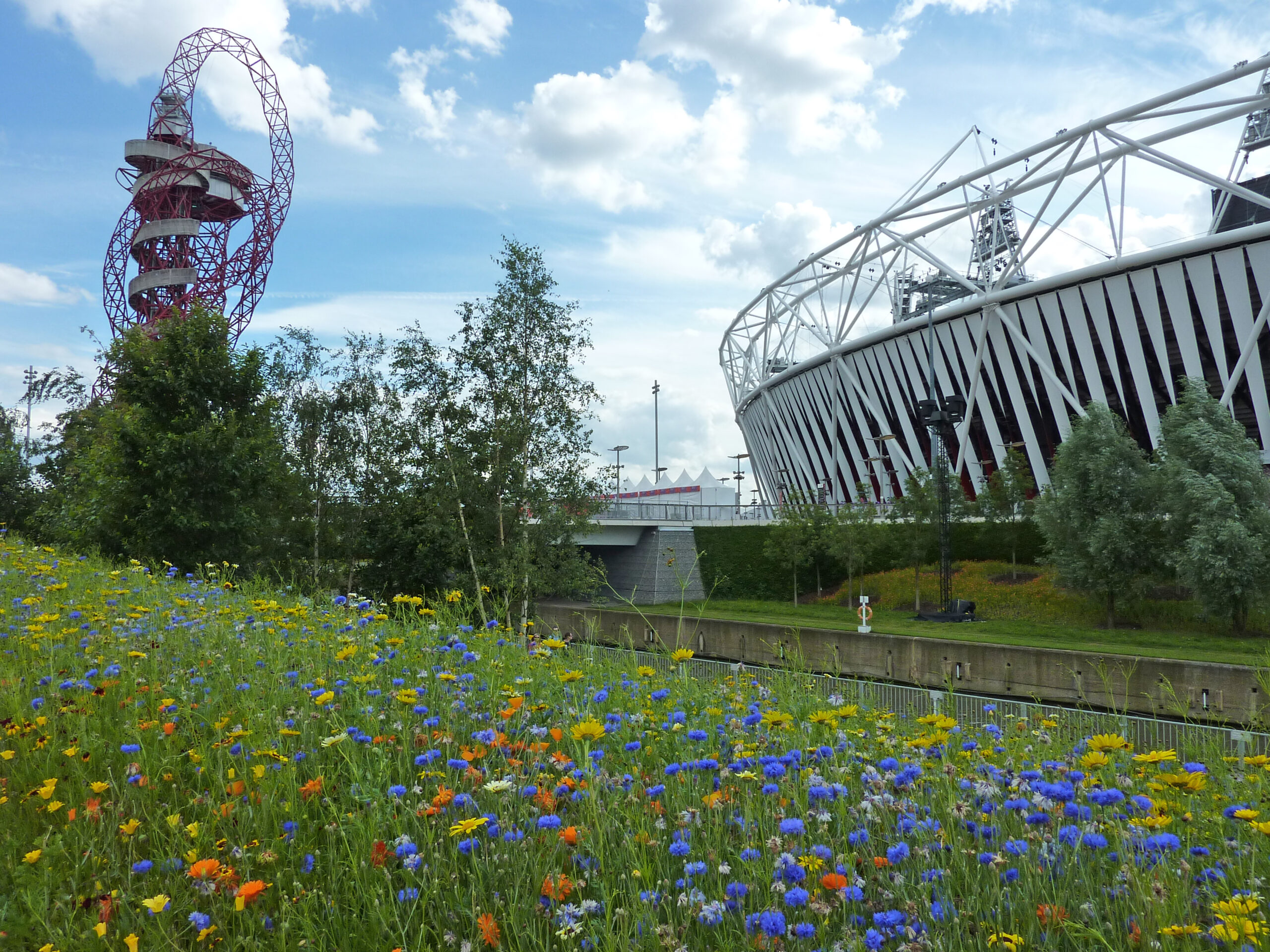 Colour photograph, flower meadow on the left, stadium view on the right. 