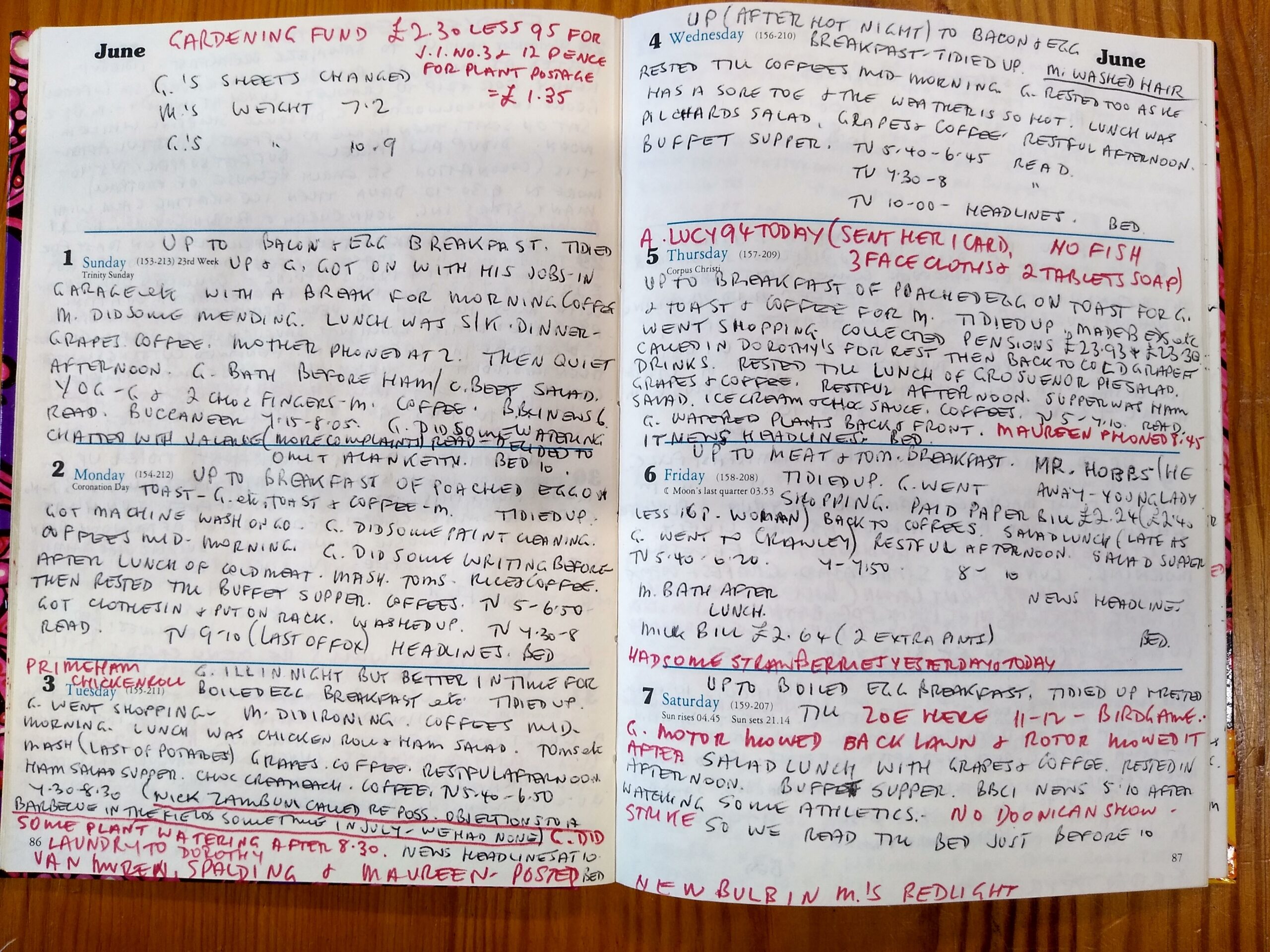 colour photograph of hand written text across two pages. 